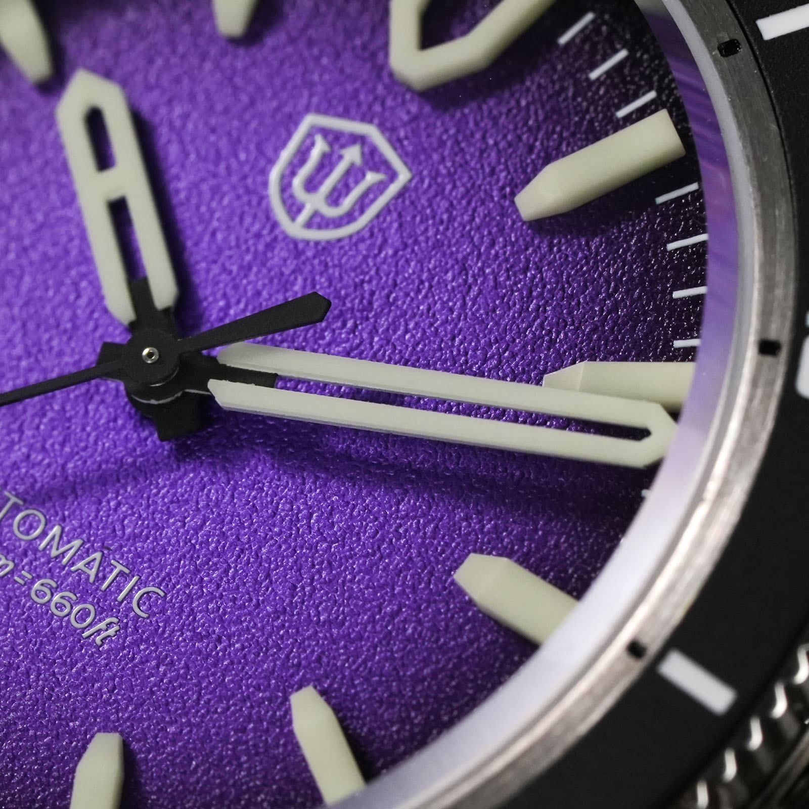 Watchdives Premier WD0019 Auto - Minute Repeater Watch reseña y precio
